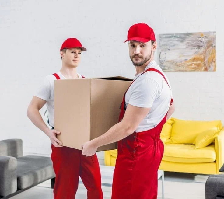 معدات فحص ومعاينة احترافية